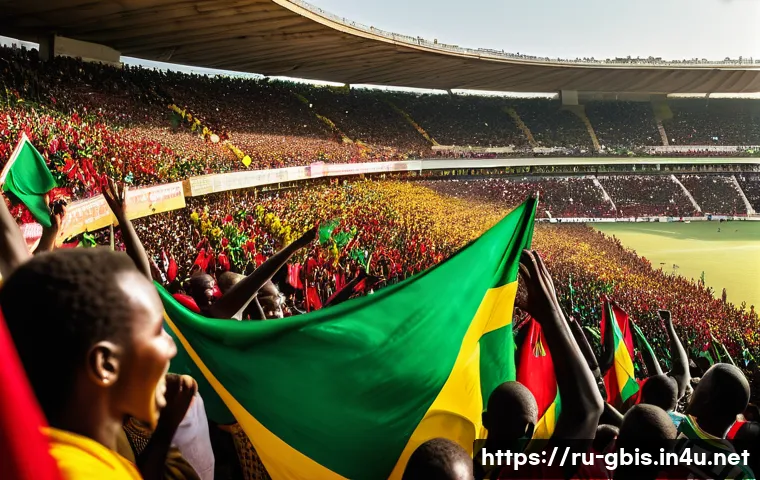 기니비사우에서 축구와 스포츠 문화 관련 이미지 1